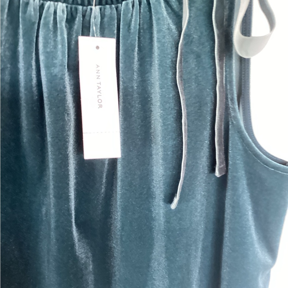 Ann Taylor Deep Teal Velvet top